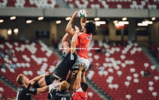 易胜博体育-图卢兹主帅革新战术体系 全力冲击关键胜利