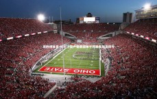 易胜博体育-恰尔汗奥卢荣膺国米十月最佳球员称号